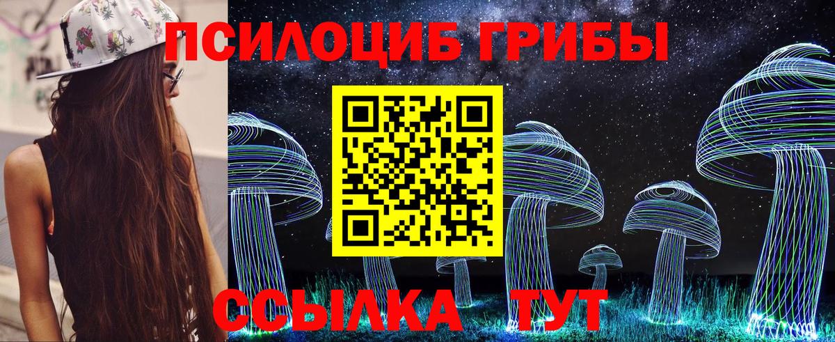 Советск  Псилоцибиновые грибы MAGIC MUSHROOMS  Вход с VPN  Галлюциногенные грибы прущие грибы 